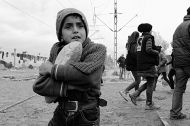Perilous Hope – A Documentary on Refugees